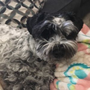 Meet your Posher, Olga